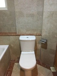 Emerald Garden (D1), Condominium #173415112